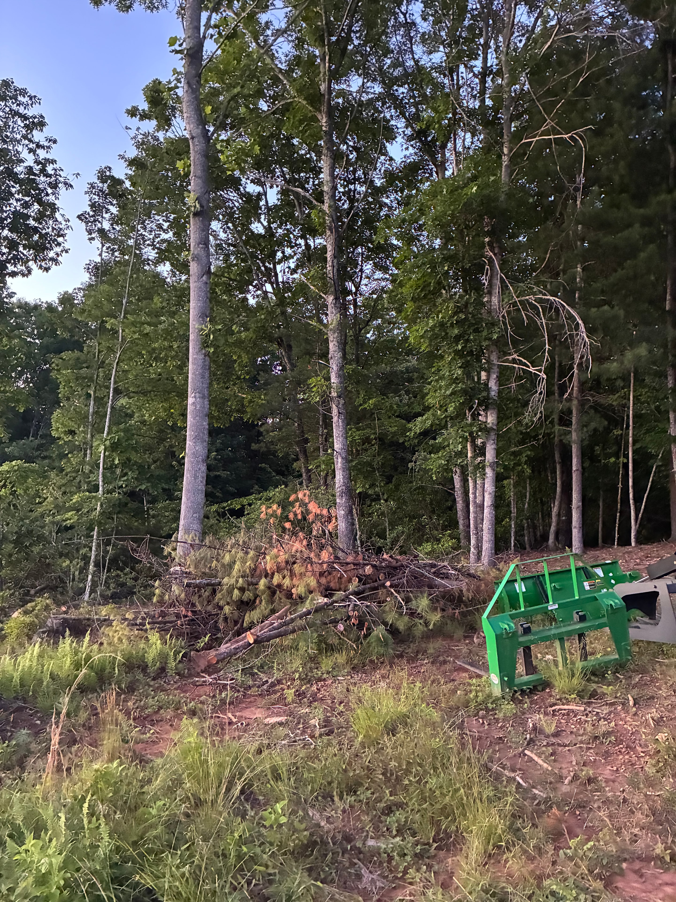 Yard Waste Removal