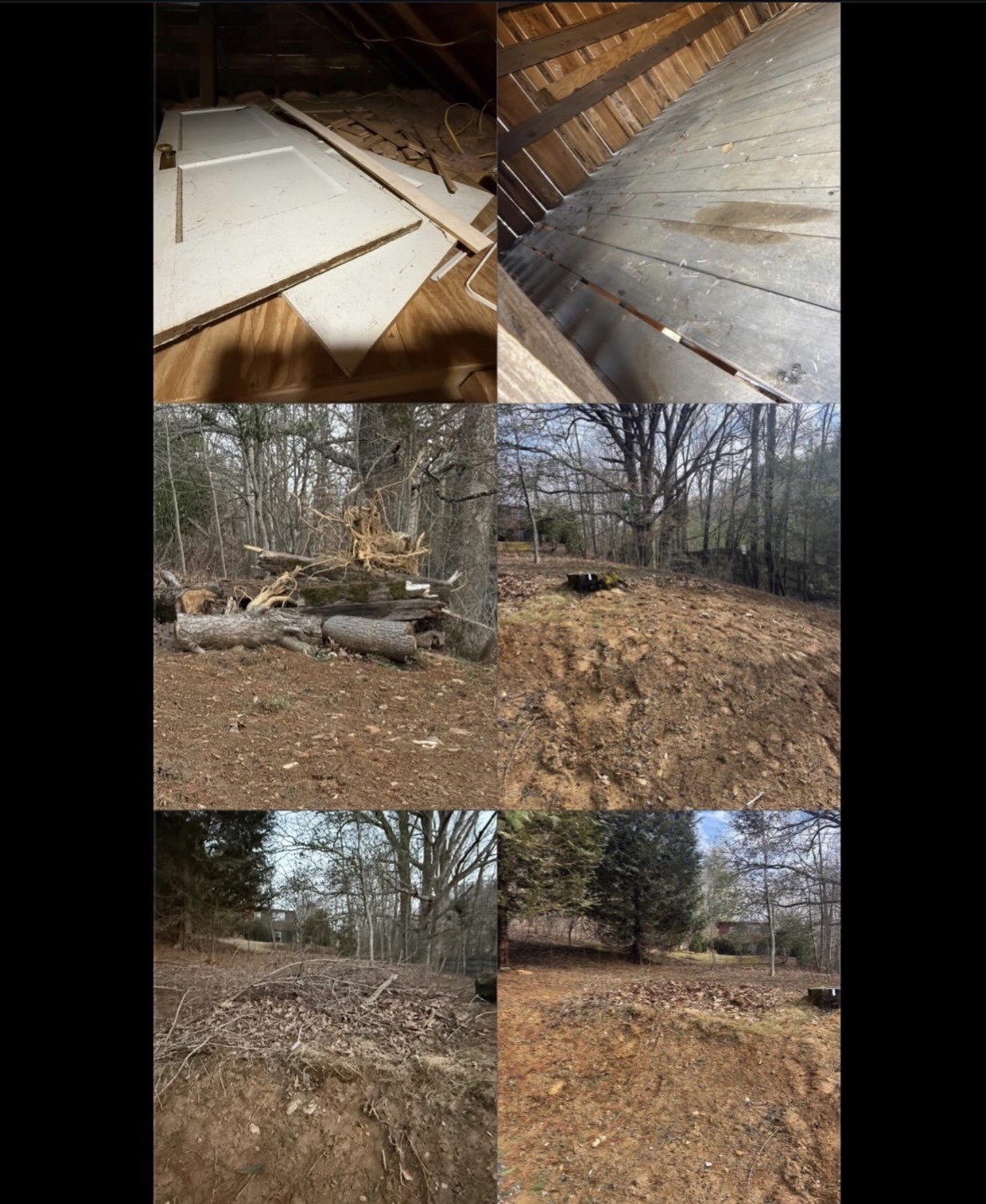 Property Cleanout